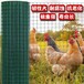 养殖网养鸡养鸭圈地网荷兰网铁丝网围栏钢丝网
