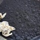 發發助手