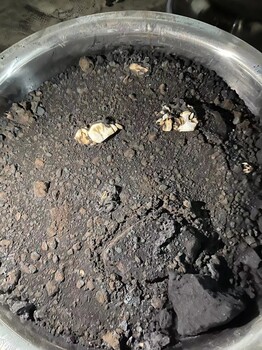 濱州鈀觸煤回收的廠家