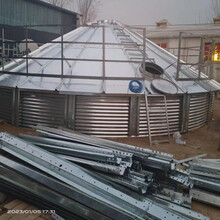 养殖场常用料塔粮食钢板仓镀锌钢板全钢锥底锥底出料