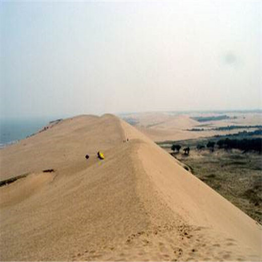 武汉硚口区天然海砂（海沙、白沙）滤料一吨价格