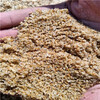 吉林丰满区天然海砂（海沙、白沙）滤料生产基地