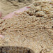 三明三元区水处理石英砂海砂（海沙）滤料价格