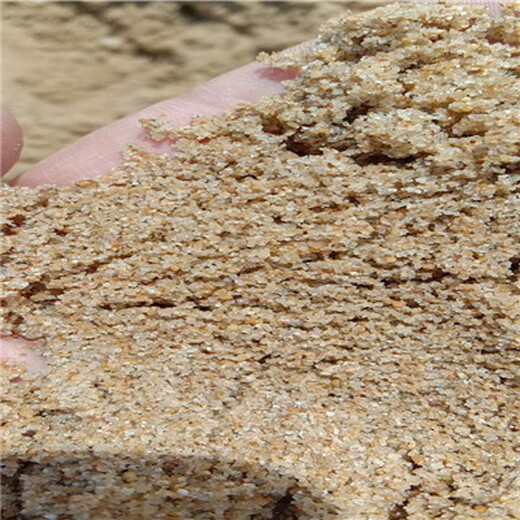莱芜莱城区滤料用海砂(海沙)石英砂（沸石）滤料供应