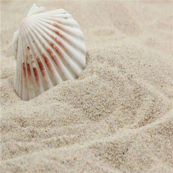 濟(jì)南平陰縣水處理海砂(海沙)（白沙）濾料價(jià)格