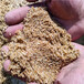 河池宜州市天然海砂（海沙.砂）石英砂滤料供应