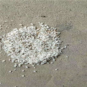 泉州德化县天然海砂（海沙.砂）石英砂滤料销售