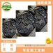厂家销售煤沥青片高温沥青可加工沥青粉指标可调节