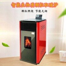 生物質(zhì)木屑顆粒取暖爐可燒水做飯家用采暖爐生產(chǎn)廠家圖片