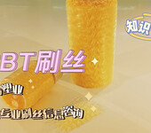 PBT滌綸樹脂刷絲，強韌高彈性環衛刷絲，耐久抗靜電工業刷絲