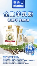 驼奶新标准70%粉源头工厂批发代工加盟