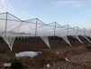 果园防雹网防霜冻纯原料聚乙烯多功能种植防护网葡萄樱桃防护网
