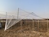 新疆防雹网白色月牙形聚乙烯新料果园防冰雹网园林防护网