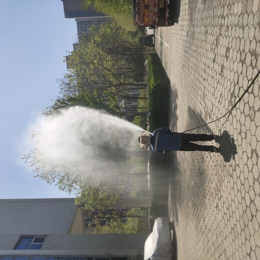 北京出租绿化工程车树木打药，丰台租赁园林绿化喷洒车浇水