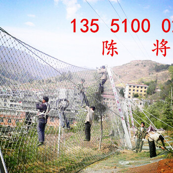甘孜邊坡被動防護網RX-050