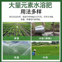 大量元素水溶肥氮磷钾用量少植物吸收快改善土壤安全绿色
