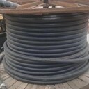 支持當(dāng)?shù)鼗厥浙~芯電纜呼倫貝爾廢銅電纜回收