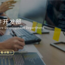 軟件開發服務項目介紹