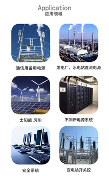 天能免維護(hù)鉛酸蓄電池TN12-12/12V12AH機(jī)房備用蓄電池