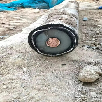 福州整卷全新電纜回收站點