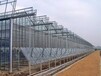 pc阳光板玻璃温室日光温室大棚建造