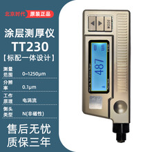 北京时代涂层测厚仪TT230电涡流不锈钢镀锌层镀铬厚度测量仪