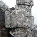 广州萝岗区铝合金回收价格/铝屑收购附近商家