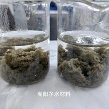 河北聚丙烯酰胺厂，食品厂污水处理用阴离子絮凝剂PAM，吸附能力强沉淀速度快