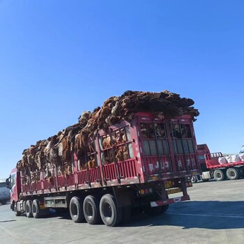 三磷酸钾出口到外蒙古乌兰巴托/达尔罕汽运专线