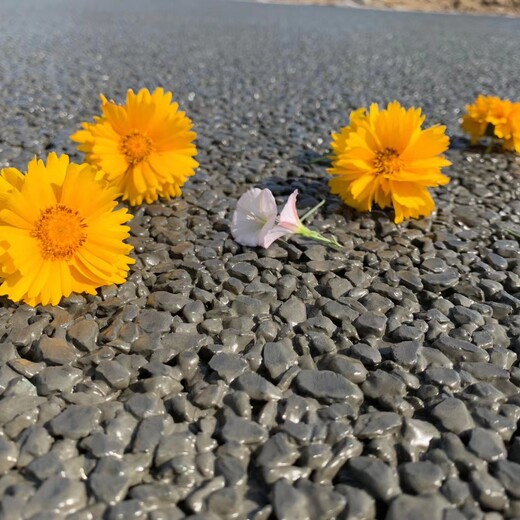 无砂混凝土地坪山东菏泽彩色透水地坪生态透水混凝土包工包料