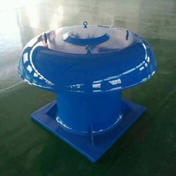 湖北鄂州市防爆玻璃鋼屋頂風(fēng)機(jī)不銹鋼無動(dòng)力風(fēng)機(jī)防爆高壓屋頂風(fēng)機(jī)