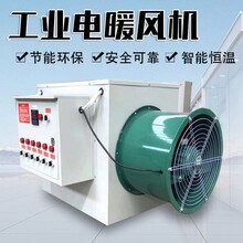 湖南益陽(yáng)市電暖風(fēng)機(jī)全自動(dòng)大棚育雛養(yǎng)殖采暖爐圖片