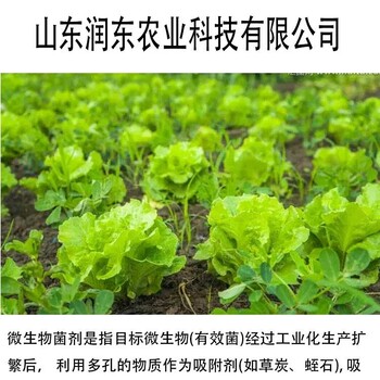 生物有机肥微生物菌剂农用肥提高产量有机质60%