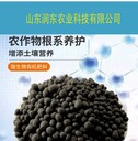 生物有机肥微生物菌剂叶面肥改良土壤有机质60%