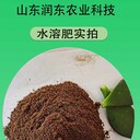 大量元素水溶肥微生物菌劑沖施肥氮磷鉀肥生根提苗