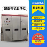 SYD3系列高压笼型电机液体电阻起动柜
