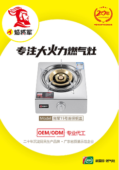 廚衛(wèi)電器灶具源頭工廠臺式雙爐煤氣灶焰將軍大火力燃?xì)庠顝S家