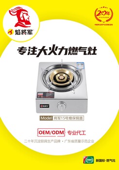 廚衛(wèi)電器灶具源頭工廠臺式雙爐煤氣灶焰將軍大火力燃?xì)庠顝S家