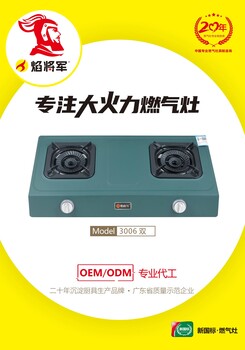 廚衛(wèi)電器灶具源頭工廠臺式雙爐煤氣灶焰將軍大火力燃?xì)庠顝S家