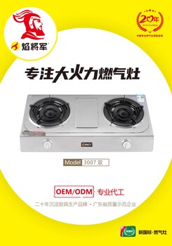 廚衛(wèi)電器灶具源頭工廠臺式雙爐煤氣灶焰將軍大火力燃?xì)庠顝S家