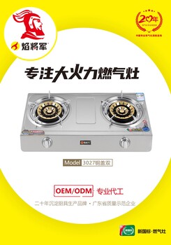 廚衛(wèi)電器灶具源頭工廠臺式雙爐煤氣灶焰將軍大火力燃?xì)庠顝S家
