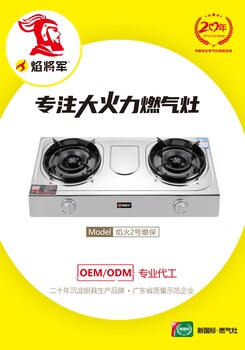 焰將軍廚衛(wèi)電器灶具源頭生產廠家臺式雙灶煤氣灶