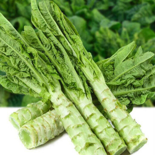 蘇州濱湖企業(yè)飯?zhí)猛泄芙?jīng)驗(yàn)豐富