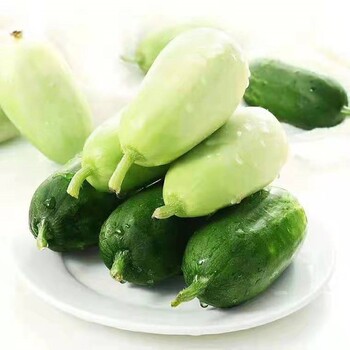維揚(yáng)食堂配送快速發(fā)貨本地蔬菜配送