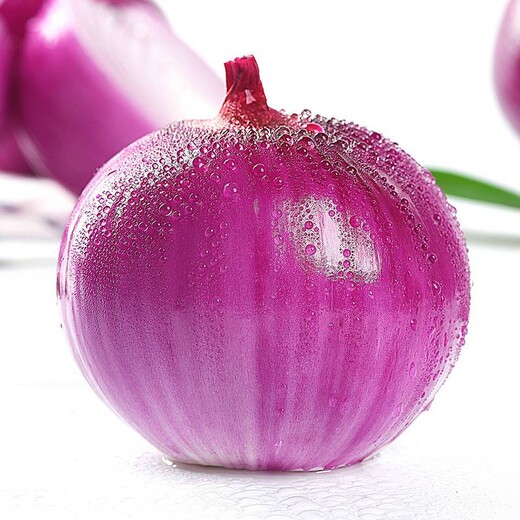 定遠(yuǎn)企業(yè)飯?zhí)猛泄茈娫?>
                </div>
                <div   class=