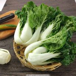 邳州饭堂蔬菜配送公司一站式服务本地蔬菜配送