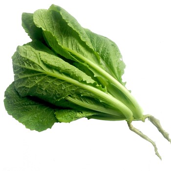 南京白下生鮮蔬菜配送哪家好快速發(fā)貨本地蔬菜配送