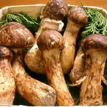 云龍生鮮蔬菜配送誠信經(jīng)營本地蔬菜配送