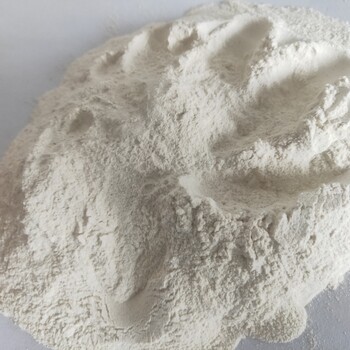 廠家大量供應(yīng)大米蛋白粉70蛋白狗糧貓糧寵物用飼料級(jí)大米蛋白粉
