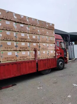 上海凯杉木业回收托盘，包装箱，木方